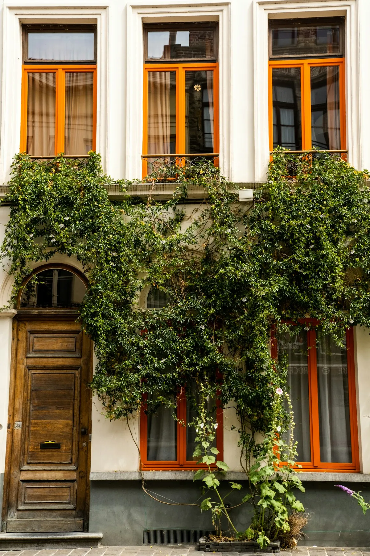 Précompte immobilier à Bruxelles : réductions, primes et exonérations